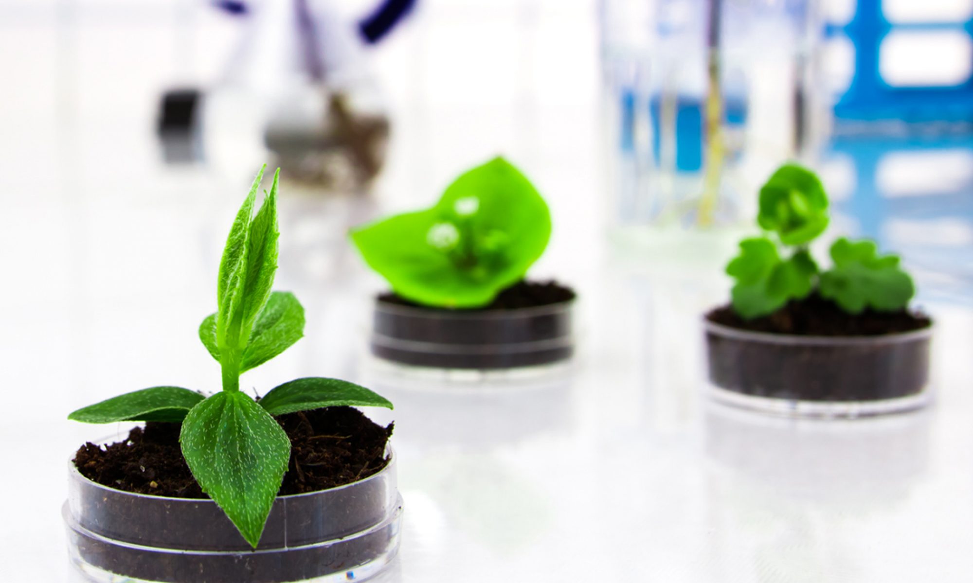 Bumimaju MTE Engineering Sdn Bhd